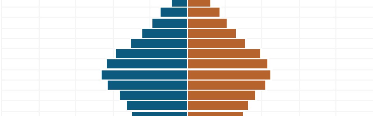 Piramide población